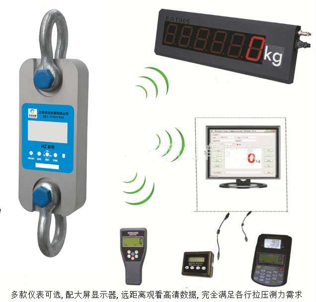 HZ-R系列直視測力計(jì),遙控測力計(jì)，